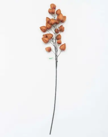 HASTE VERTI BUNGANVILIA TERRACOTA(BL)