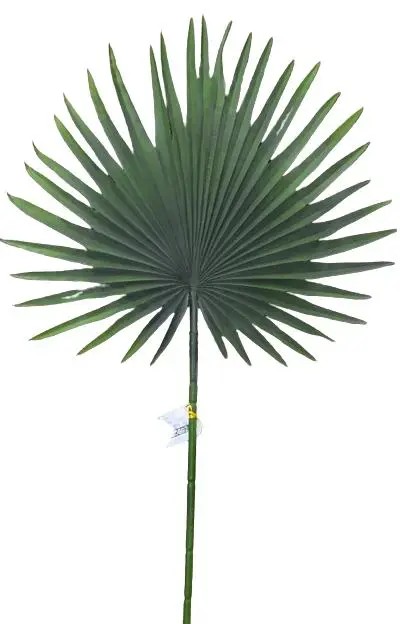 FOLHA VANESSA PALMEIRA LEQUE 4102