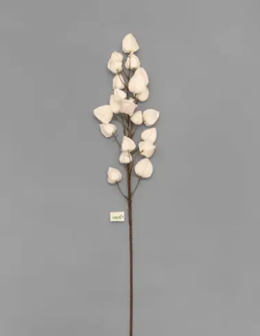 HASTE VERTI BUNGANVILIA BRANCA(BL)