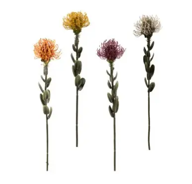 HASTE BRILLIANCE PROTEA TROPICAL HF239(BL)