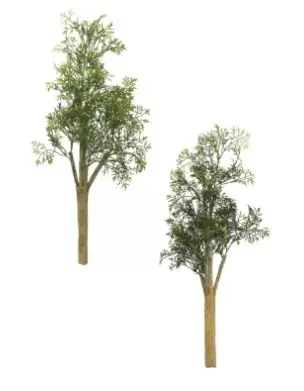 HASTE BRILLIANCE ARVORE FELICIDADE JC016 (BL)