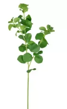 HASTE BRILLIANCE HORTELA MX809 (BL)