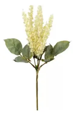 MINI BRILLIANCE ASTILBE MX840(BL)