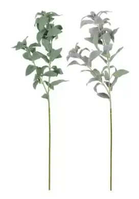 HASTE BRILLIANCE SALVIA MX810(BL)