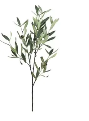 HASTE BRILLIANCE OLIVEIRA DS316(BL)