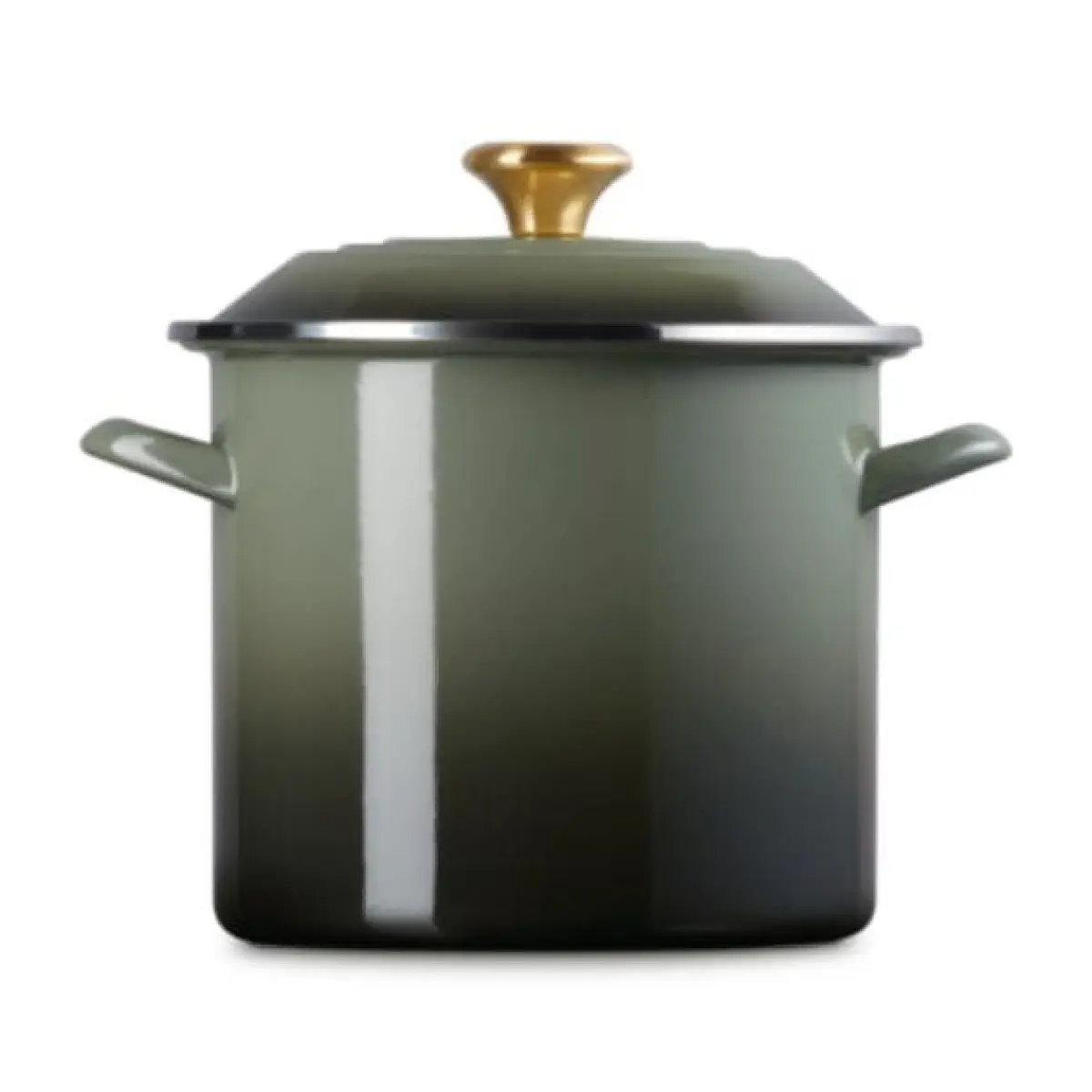 PANELA STOCKPOT LE CREUSET 7,6L 22CM THYME(BL)