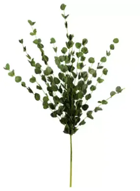 BUQUE BRILLIANCE EUCALIPTO MX226 58CM(BL)