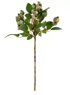 HASTE BRILLANCE ARACA VERDE MX770 56CM(BL)