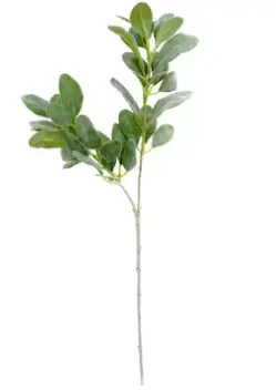 HASTE BRILLANCE PEIXINHO HORTA SM335 65CM(BL)