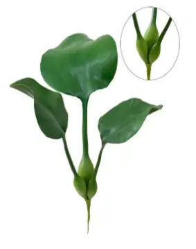 PLANTA BRILLIANCE AQUATICA JACINTO AGUA AGUAPE PH016 40CM(BL)