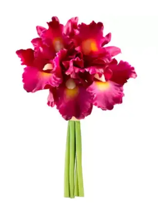 RAMALHETE BRILLIANCE MAGENTA MX848 25CMBL)