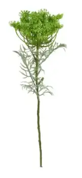 FLOR BRILLIANCE CENOURA VERDE MX316 65CM(BL)