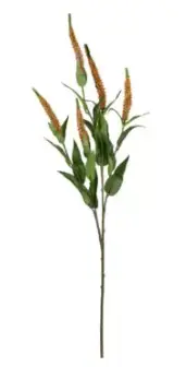 HASTE BRILLIANCE VERONICA LARANJA MX305 70CM(BL)