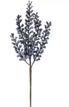 HASTE BRILLIANCE BLUEBERRY AC201 44CM(BL)