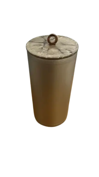 LIXEIRA RESIMETAL CHAMPAGNE FOSCO GOLD(BL)